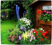 Палисадник Палисадник