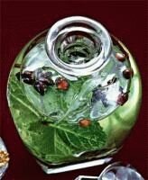 Изображение настойки